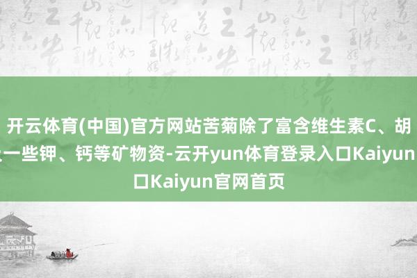 开云体育(中国)官方网站苦菊除了富含维生素C、胡萝卜素及一些钾、钙等矿物资-云开yun体育登录入口Kaiyun官网首页