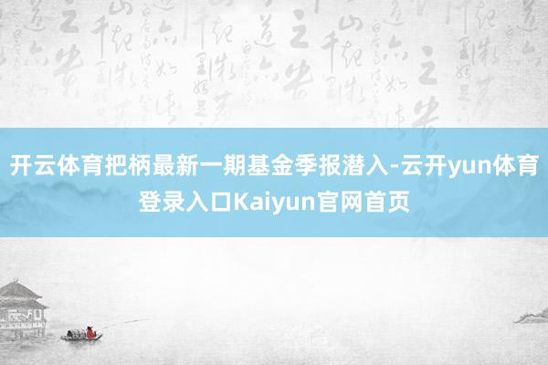 开云体育把柄最新一期基金季报潜入-云开yun体育登录入口Kaiyun官网首页