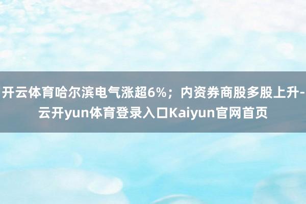 开云体育哈尔滨电气涨超6%；内资券商股多股上升-云开yun体育登录入口Kaiyun官网首页
