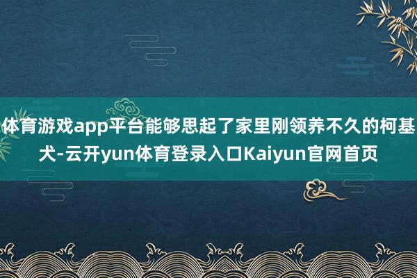 体育游戏app平台能够思起了家里刚领养不久的柯基犬-云开yun体育登录入口Kaiyun官网首页