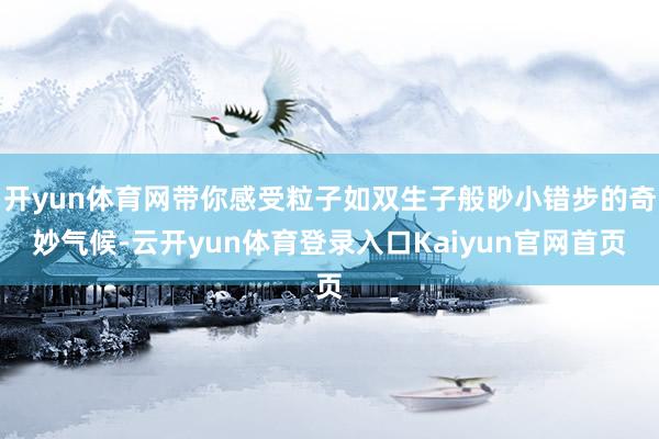 开yun体育网带你感受粒子如双生子般眇小错步的奇妙气候-云开yun体育登录入口Kaiyun官网首页