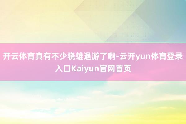 开云体育真有不少骁雄退游了啊-云开yun体育登录入口Kaiyun官网首页