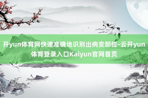 开yun体育网快速准确地识别出病变部位-云开yun体育登录入口Kaiyun官网首页