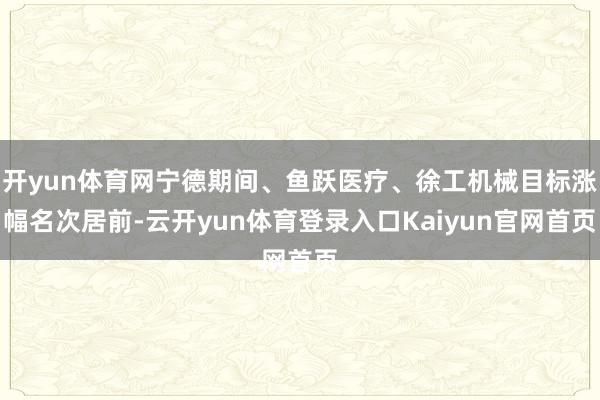 开yun体育网宁德期间、鱼跃医疗、徐工机械目标涨幅名次居前-云开yun体育登录入口Kaiyun官网首页