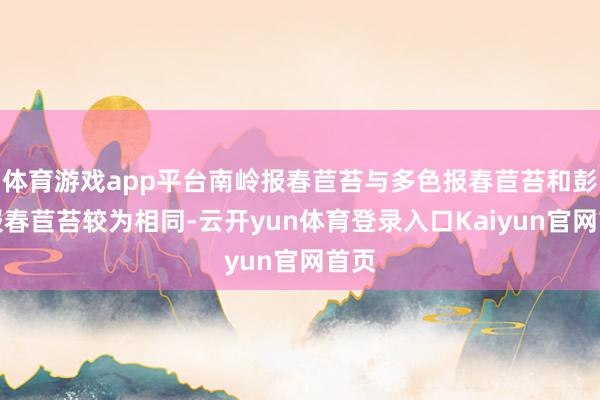 体育游戏app平台南岭报春苣苔与多色报春苣苔和彭氏报春苣苔较为相同-云开yun体育登录入口Kaiyun官网首页