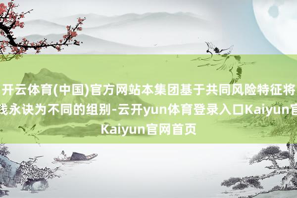 开云体育(中国)官方网站本集团基于共同风险特征将金融金钱永诀为不同的组别-云开yun体育登录入口Kaiyun官网首页