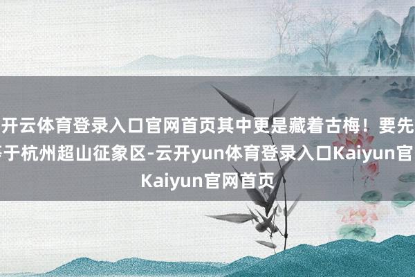 开云体育登录入口官网首页其中更是藏着古梅！要先容的等于杭州超山征象区-云开yun体育登录入口Kaiyun官网首页