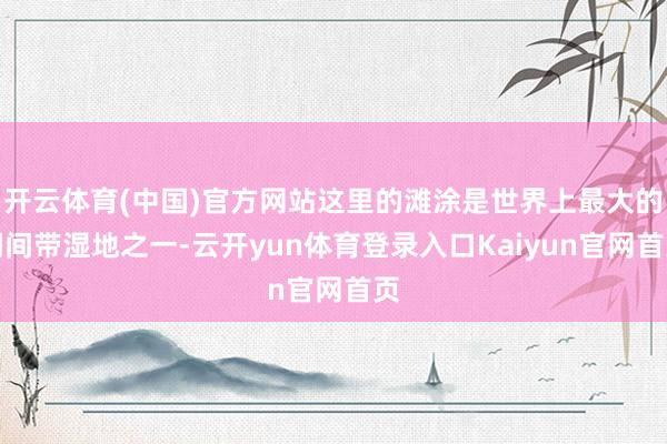 开云体育(中国)官方网站这里的滩涂是世界上最大的潮间带湿地之一-云开yun体育登录入口Kaiyun官网首页
