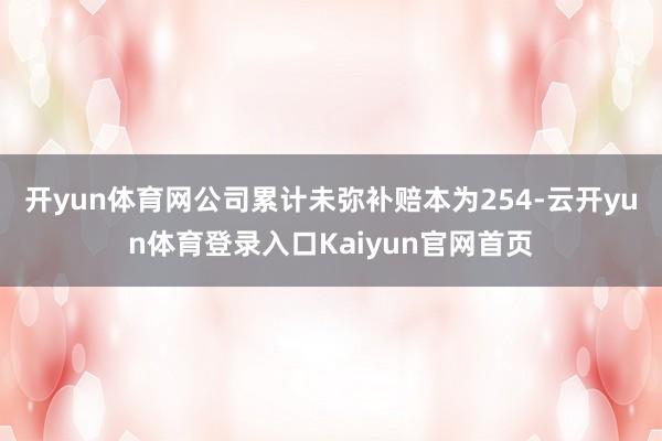 开yun体育网公司累计未弥补赔本为254-云开yun体育登录入口Kaiyun官网首页
