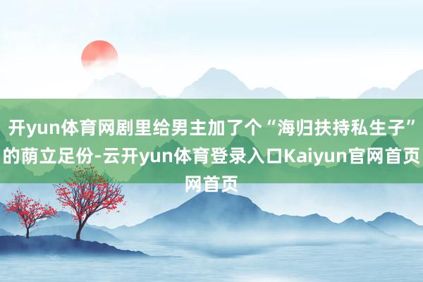 开yun体育网剧里给男主加了个“海归扶持私生子”的荫立足份-云开yun体育登录入口Kaiyun官网首页