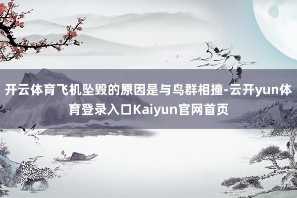 开云体育飞机坠毁的原因是与鸟群相撞-云开yun体育登录入口Kaiyun官网首页