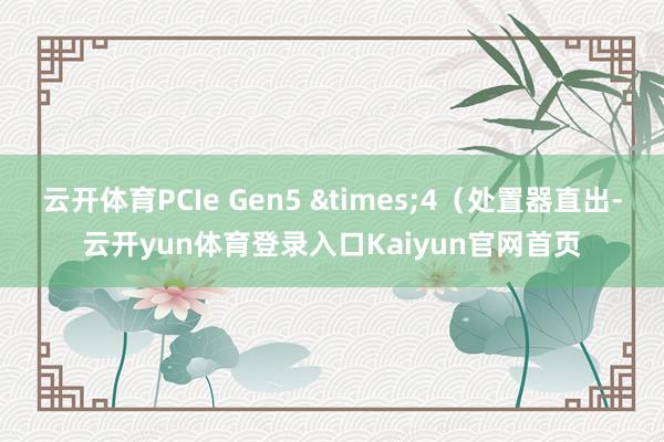 云开体育PCIe Gen5 ×4(处置器直出-云开yun体育登录入口Kaiyun官网首页