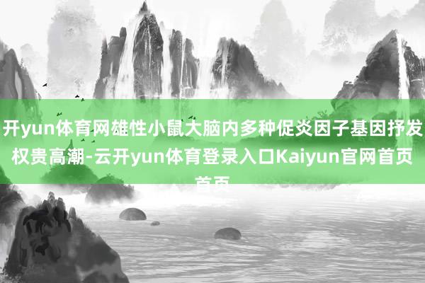 开yun体育网雄性小鼠大脑内多种促炎因子基因抒发权贵高潮-云开yun体育登录入口Kaiyun官网首页