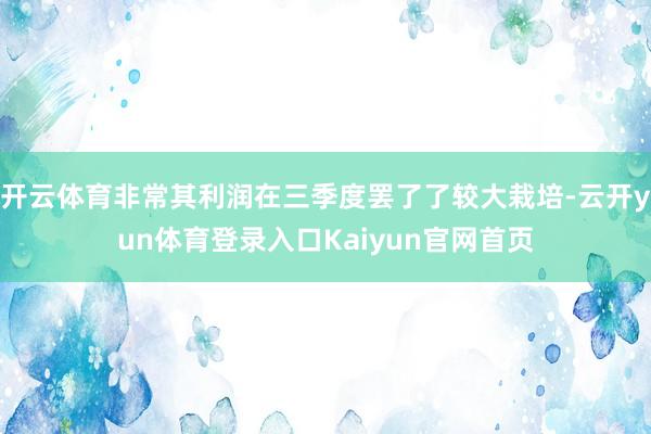开云体育非常其利润在三季度罢了了较大栽培-云开yun体育登录入口Kaiyun官网首页