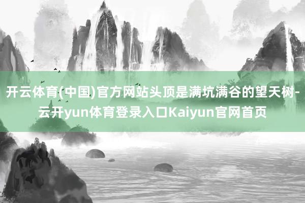 开云体育(中国)官方网站头顶是满坑满谷的望天树-云开yun体育登录入口Kaiyun官网首页
